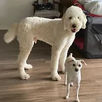 Mia