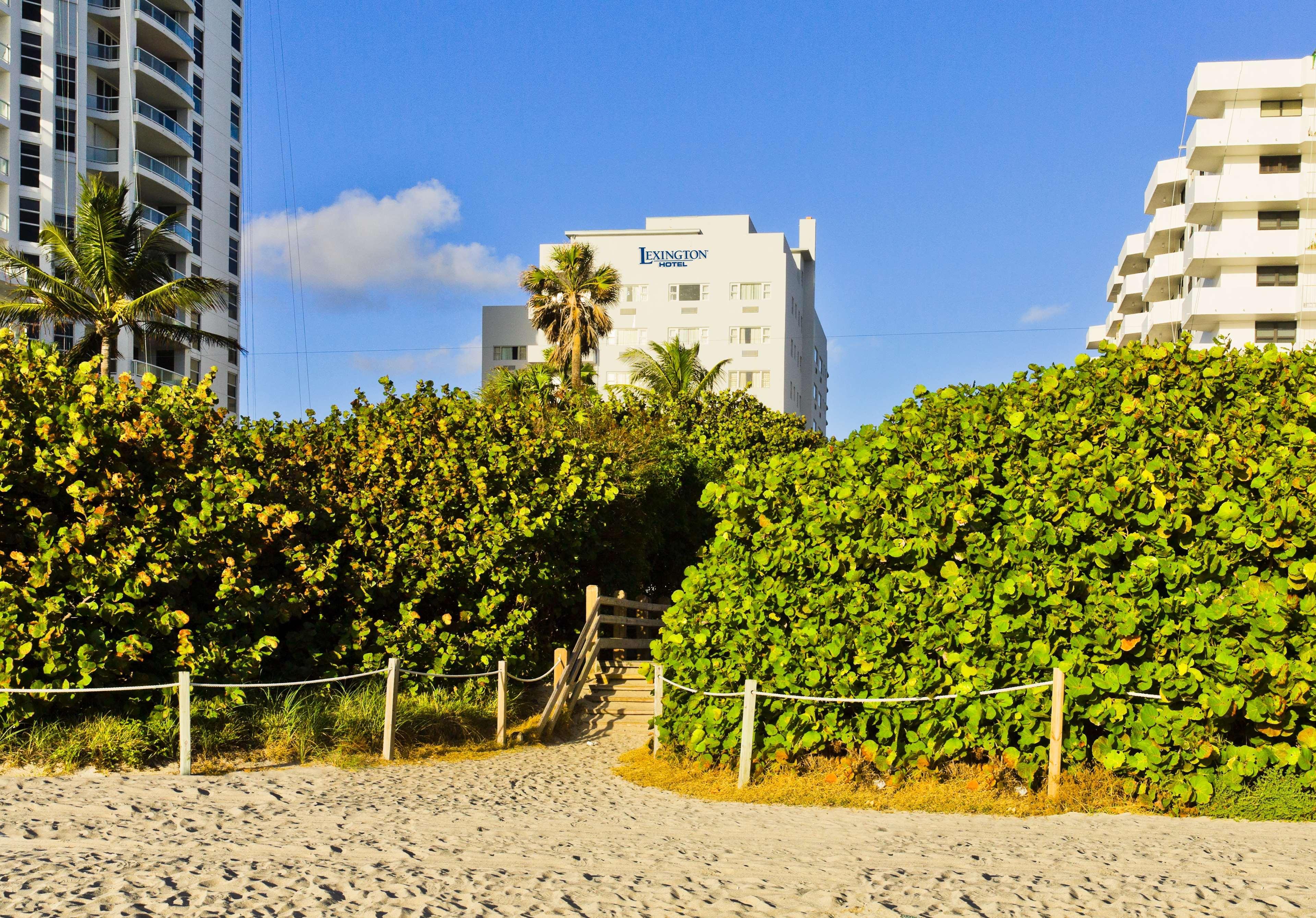 Lexington By Rl Miami Hotel Miami Beach