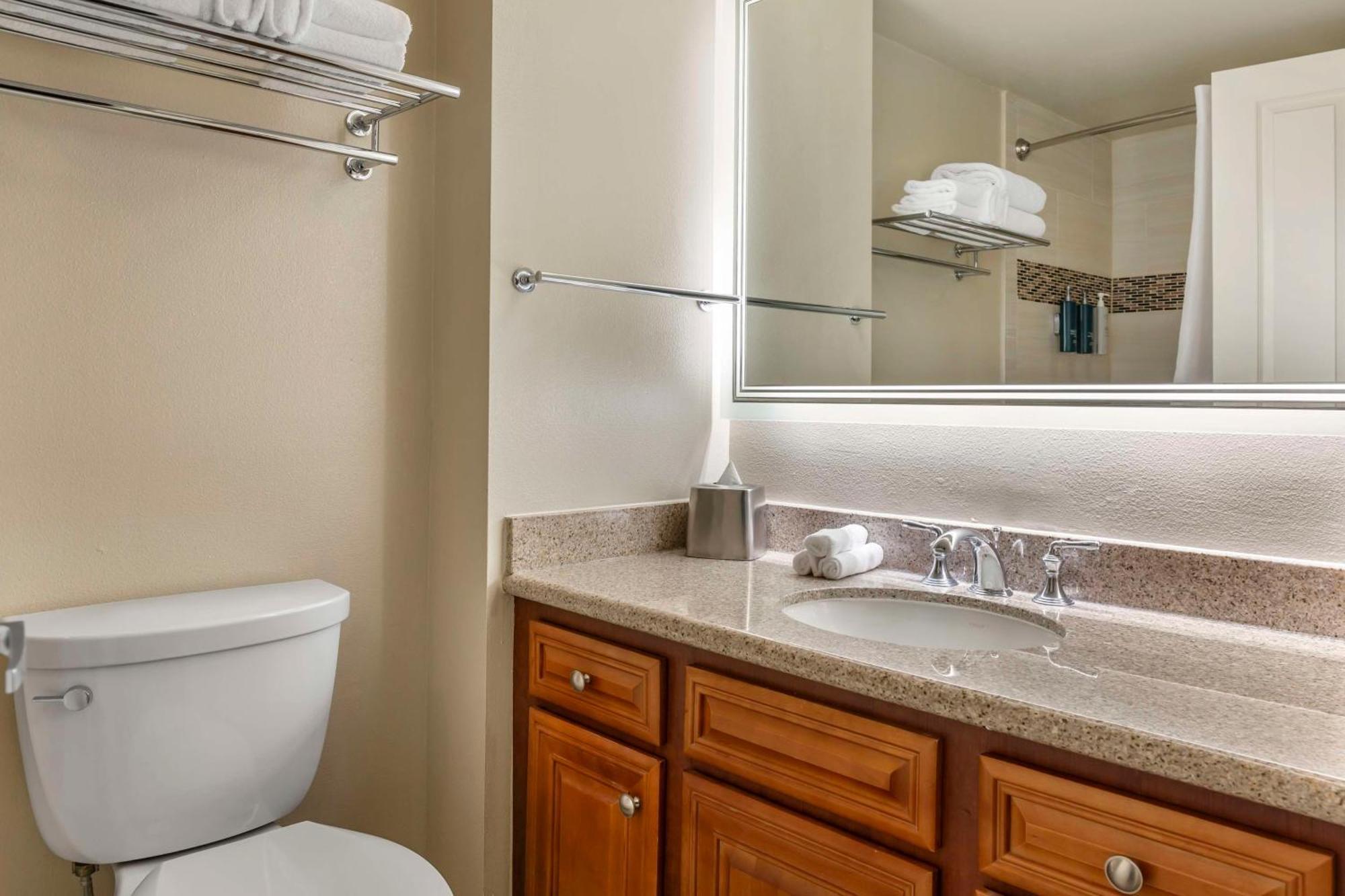 Hilton Grand Vacations Club Seaworld Orlando 3*
