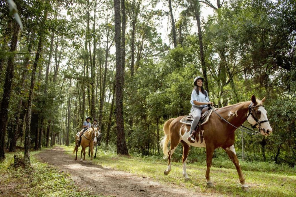 The At Disney's Wilderness Resort Lake Buena Vista