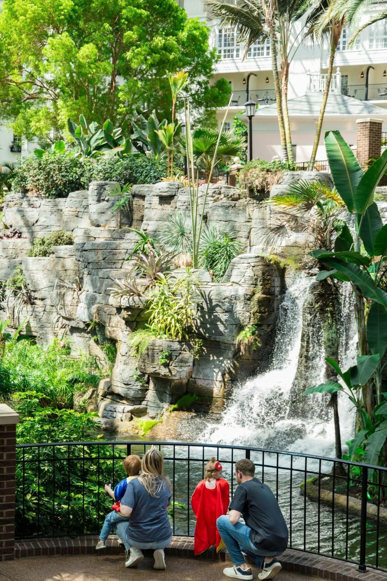 Gaylord Palms & Convention Center 4*