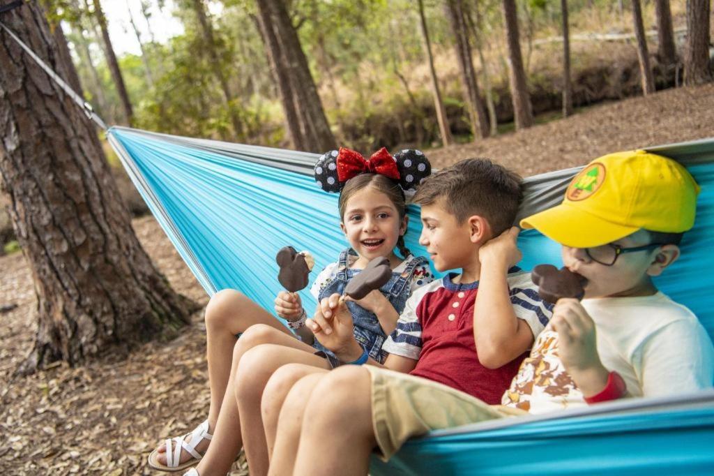 The At Disney's Wilderness 3*