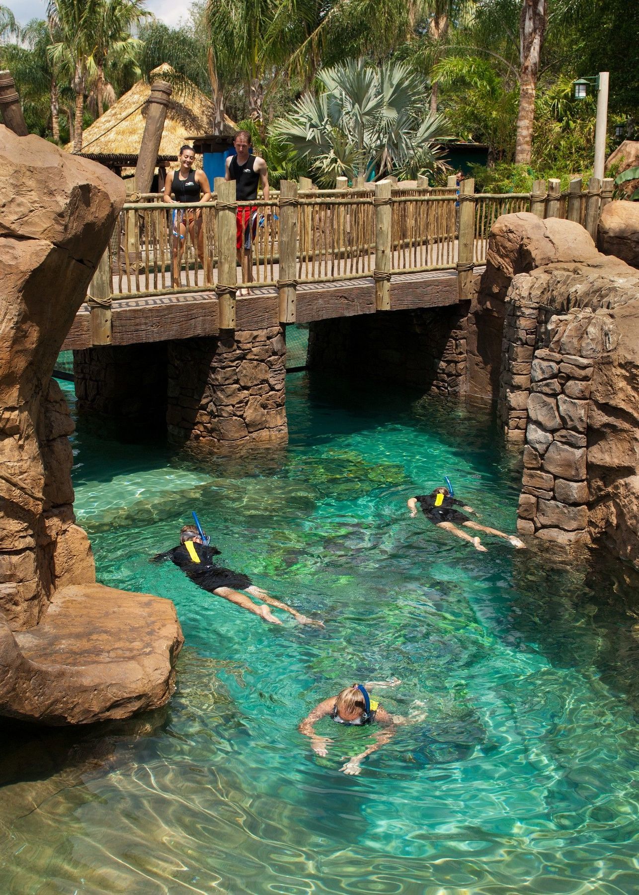 Hotel Springhill By Marriott Orlando At Seaworld 3*