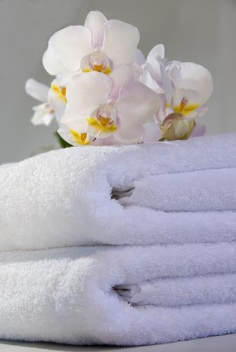Tides Hotel 3*