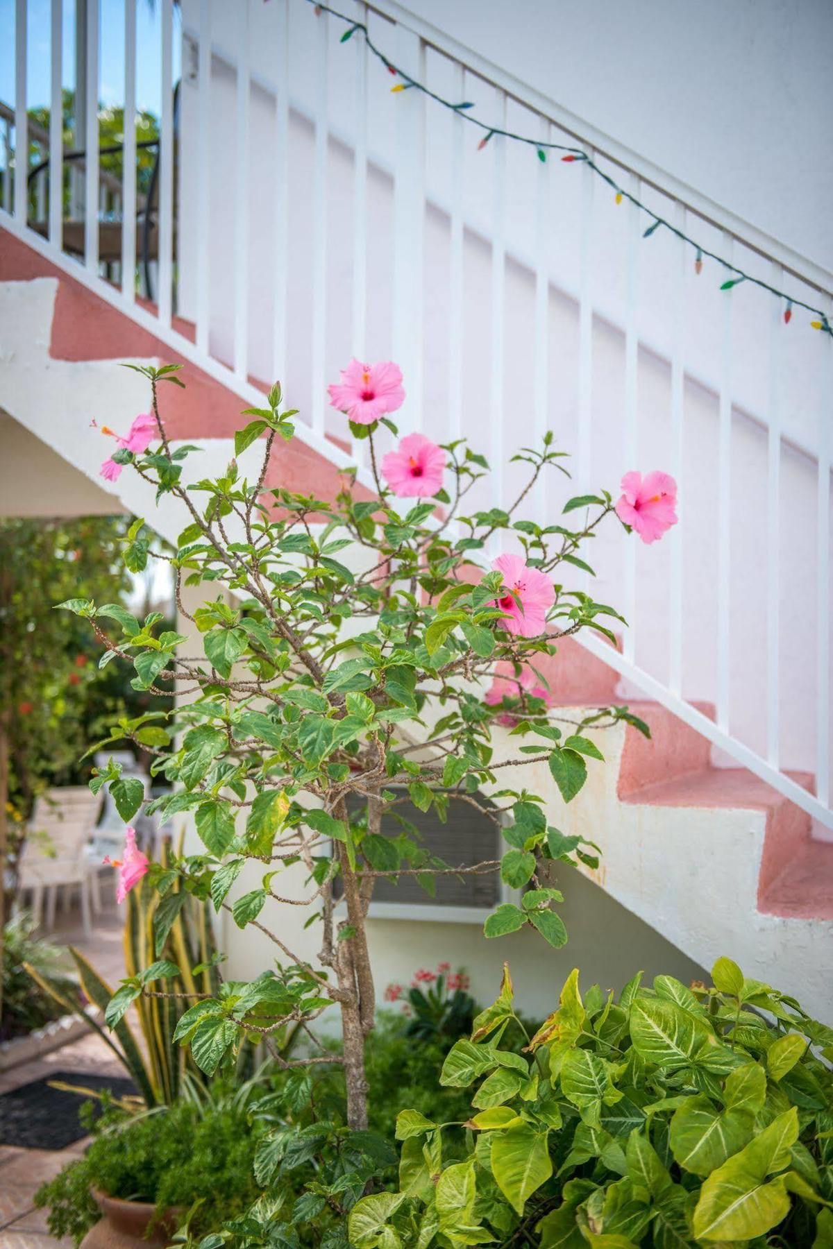 Shore Haven Hotel