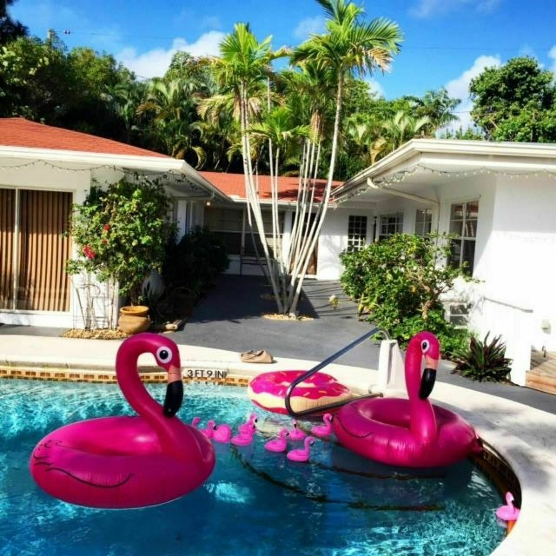 Bayview Crowns Apartment Fort Lauderdale