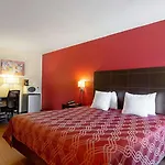 Ramada Limited Clearwater Hotel And Suites