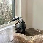 The Butterfly House - With Sauna