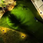 Upscale Tampa Bay Dream Home Pool With Putting Green