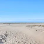 Driftwood Beach Cottage - Walk To Clearwater Bch
