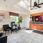 Econo Lodge Palm Harbor - Clearwater
