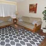 Cozy Comfort