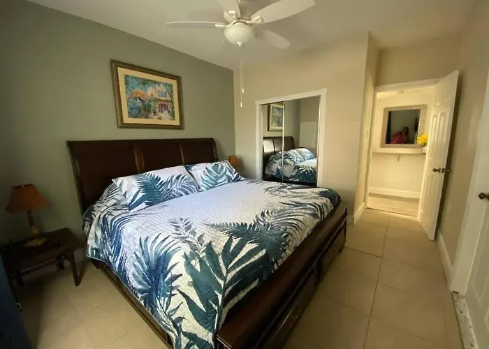 Beautiful Apartment In Tampa-A