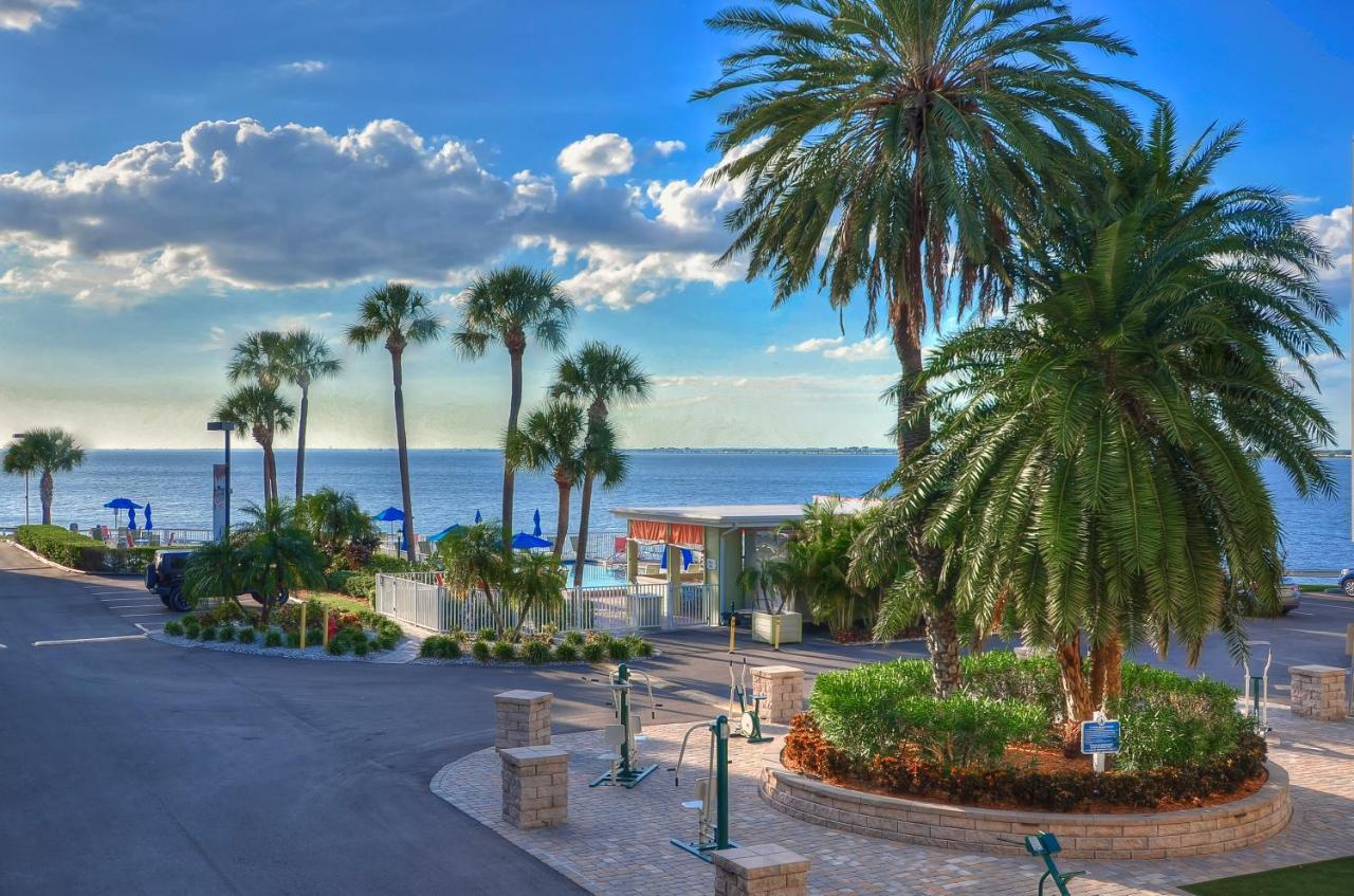 Apartment 202-pool, Wifi, Close To Bucs Stadium Tampa