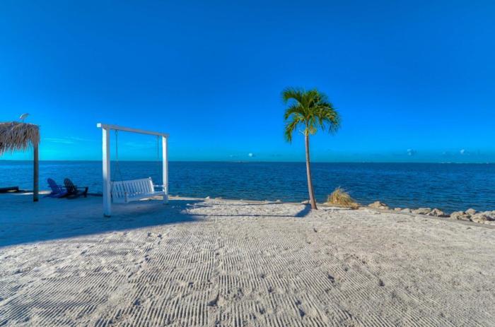 Apartment 441-waterfront, Amazing Views, Wifi, Pool And Close To Bucs Stadium