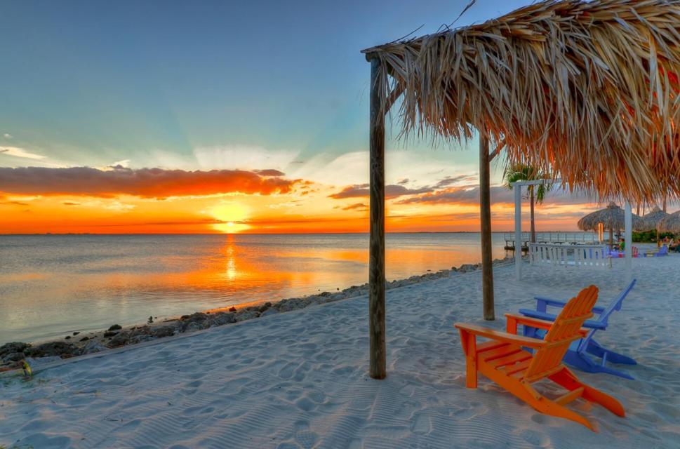 Apartment 441-waterfront, Amazing Views, Wifi, Pool And Close To Bucs Stadium Tampa