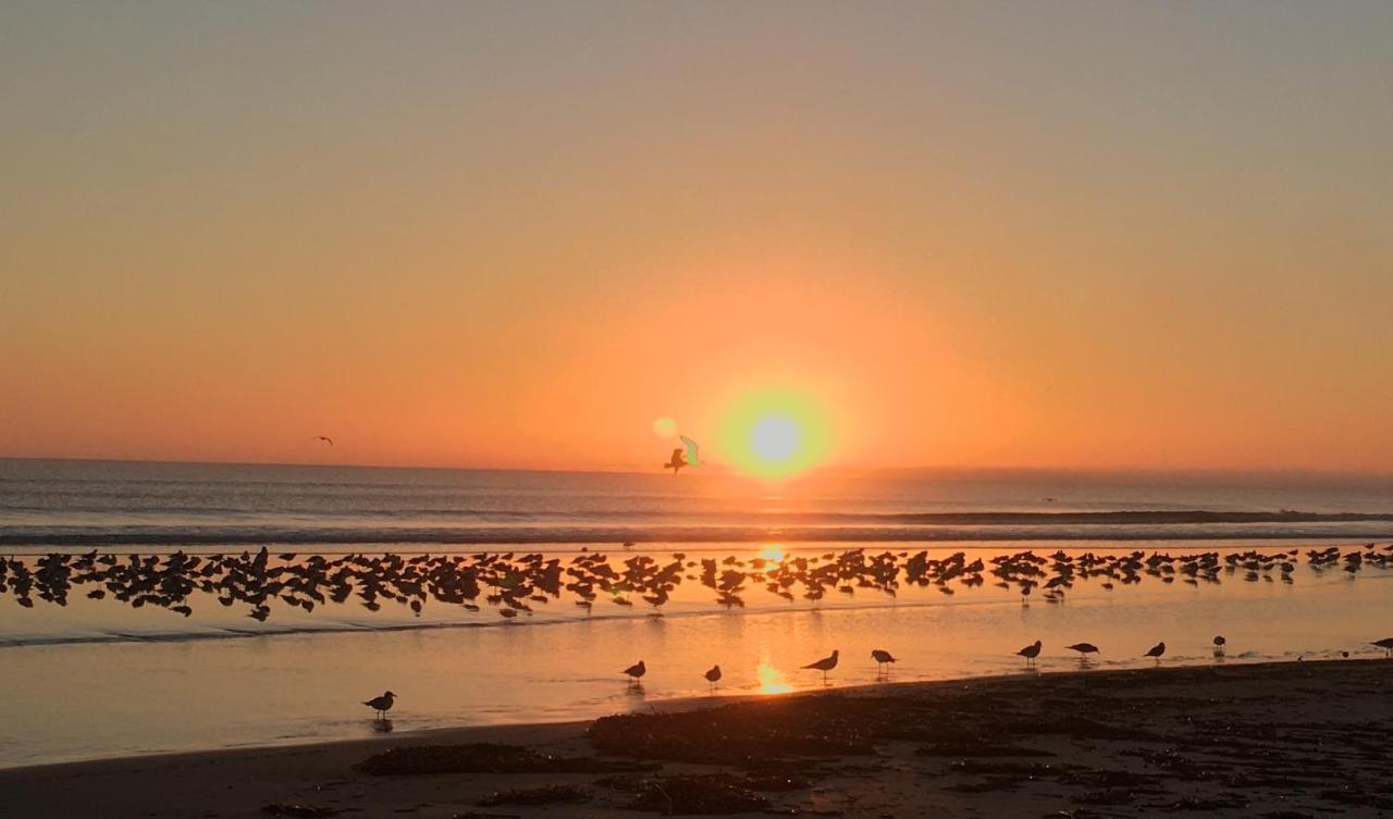 Organic Retreat Daytona Beach