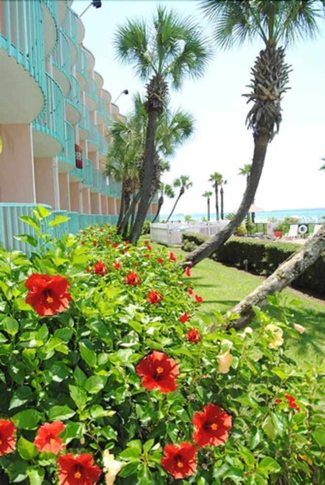 Casa Loma Panama - Beachfront Hotel