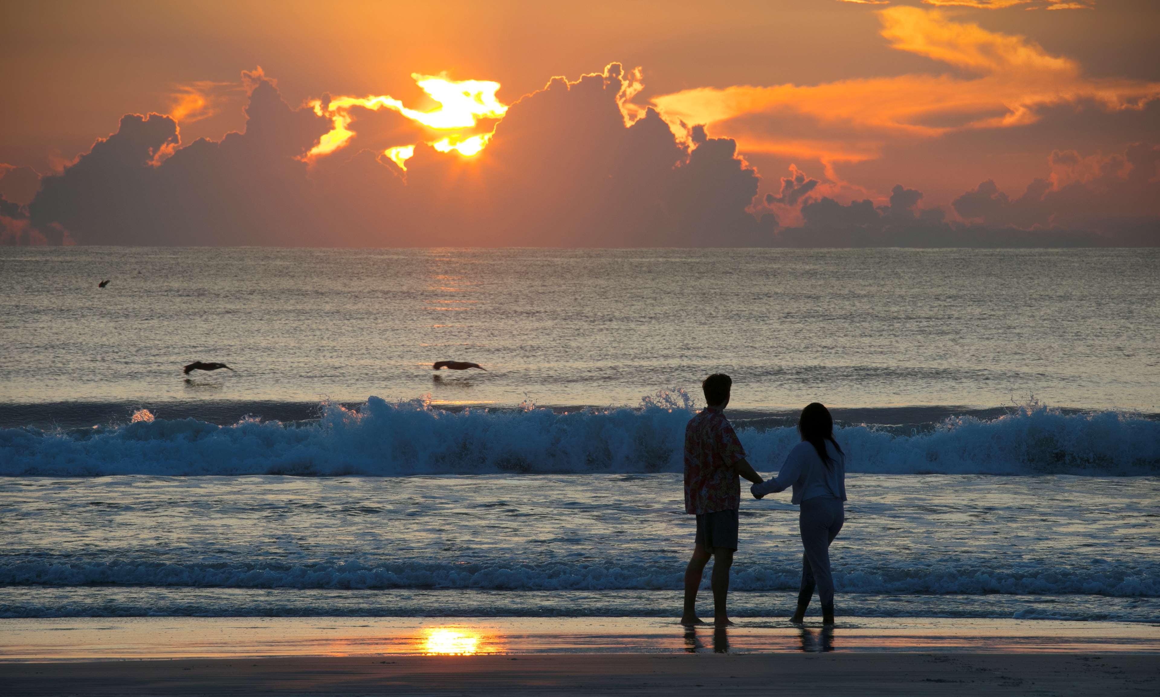 Resort Hilton Daytona (adults Only) Daytona Beach