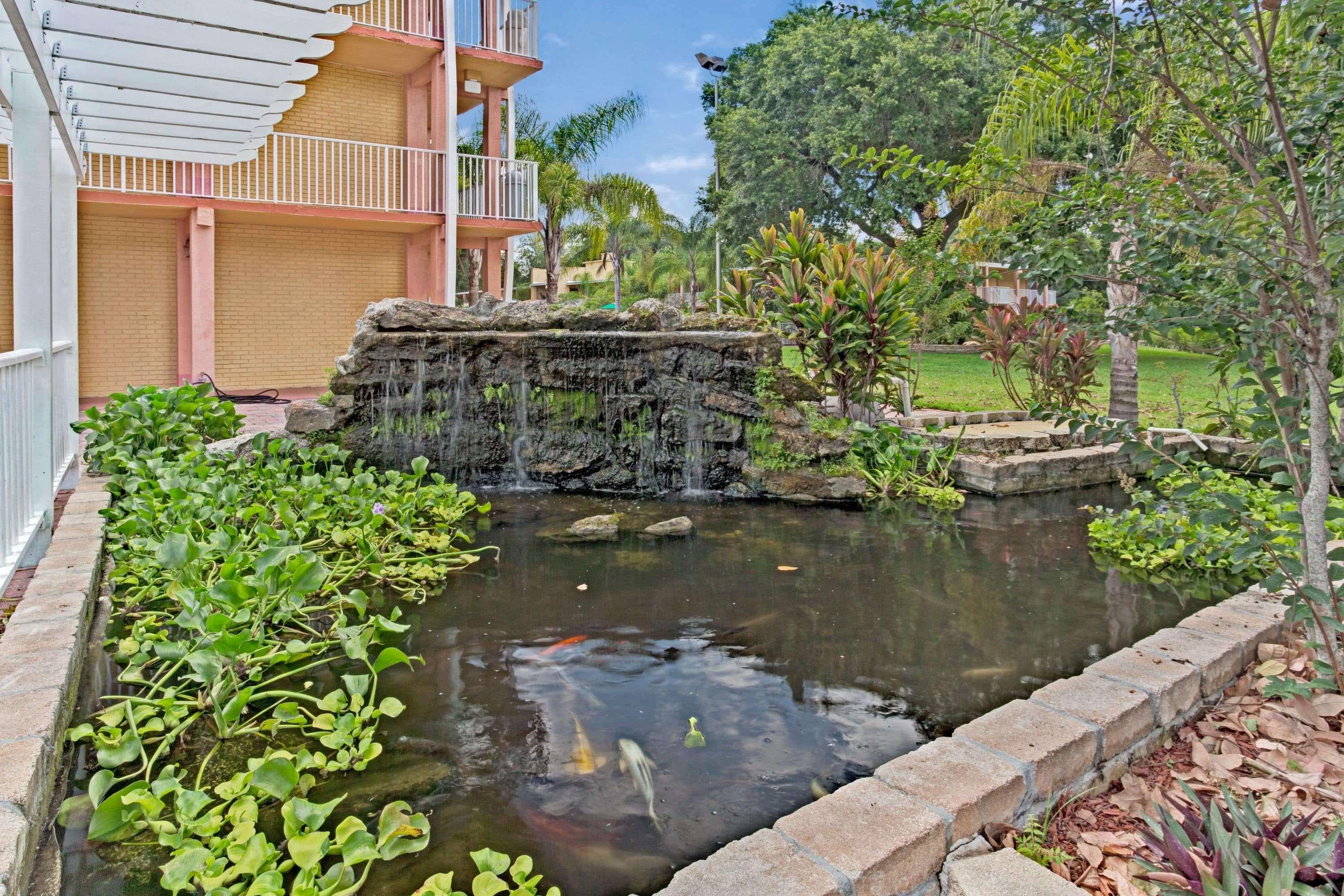 Hotel Howard Johnson By Wyndham Tropical Palms