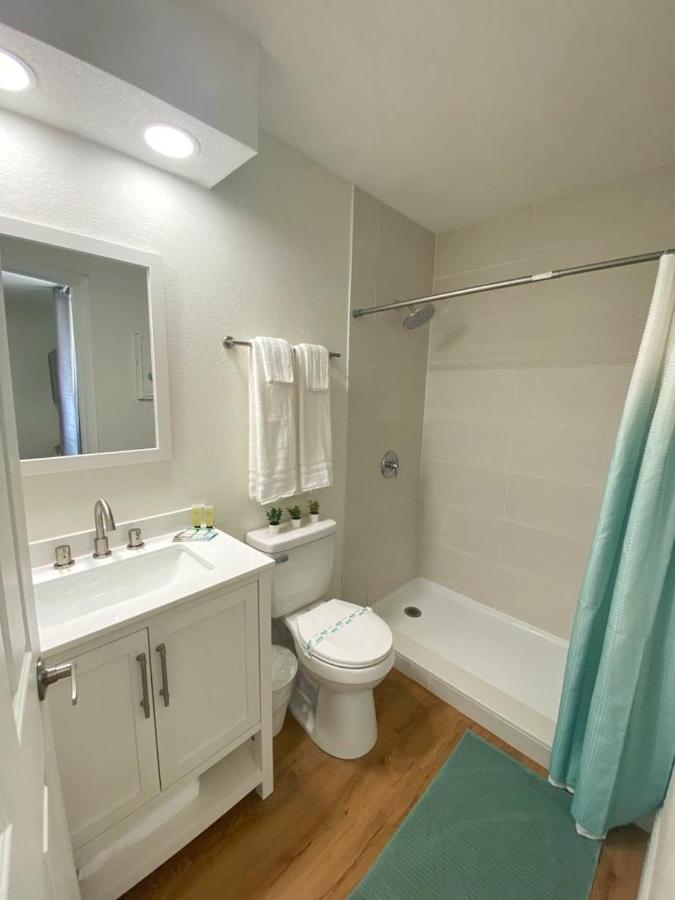 Hotel Sea Dip Studios!