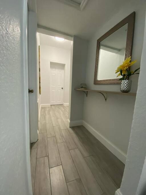 Apartment Beautiful In Tampa-a *
