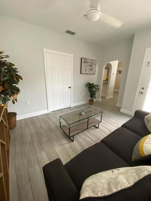 Beautiful In Tampa-a Apartment *