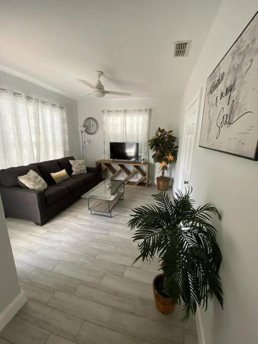 Beautiful In Tampa-a Apartment Tampa