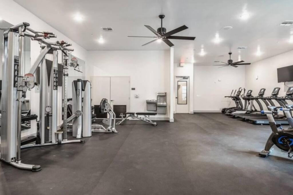 Luxurious 1 Bedroom Apt In Ybor Apartment *
