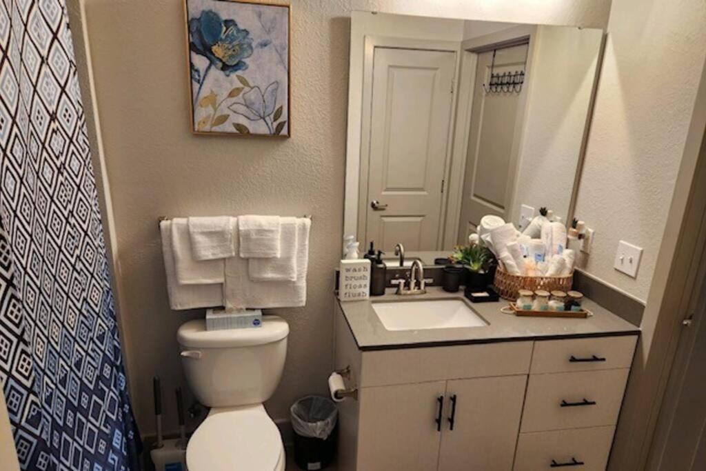 Apartment Luxurious 1 Bedroom Apt In Ybor *
