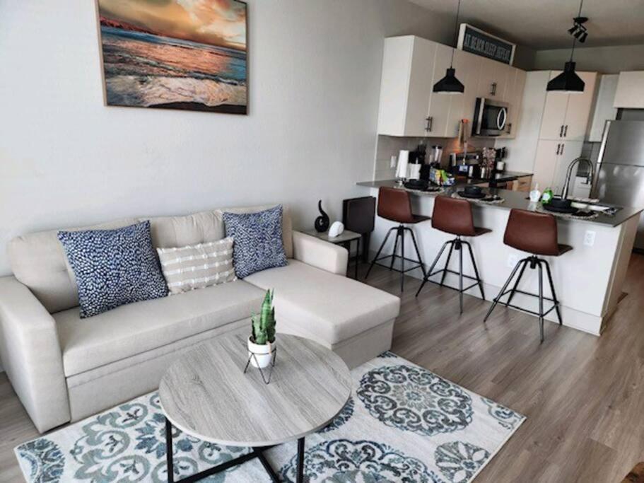 Luxurious 1 Bedroom Apt In Ybor
