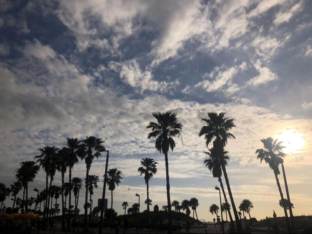 Pelican Pointe Clearwater Clearwater Beach