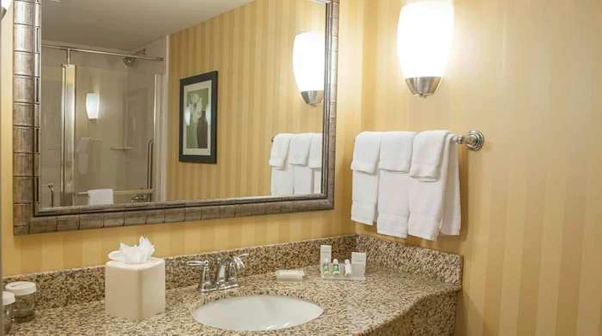 Hilton Garden Airport/medical Center Hotel