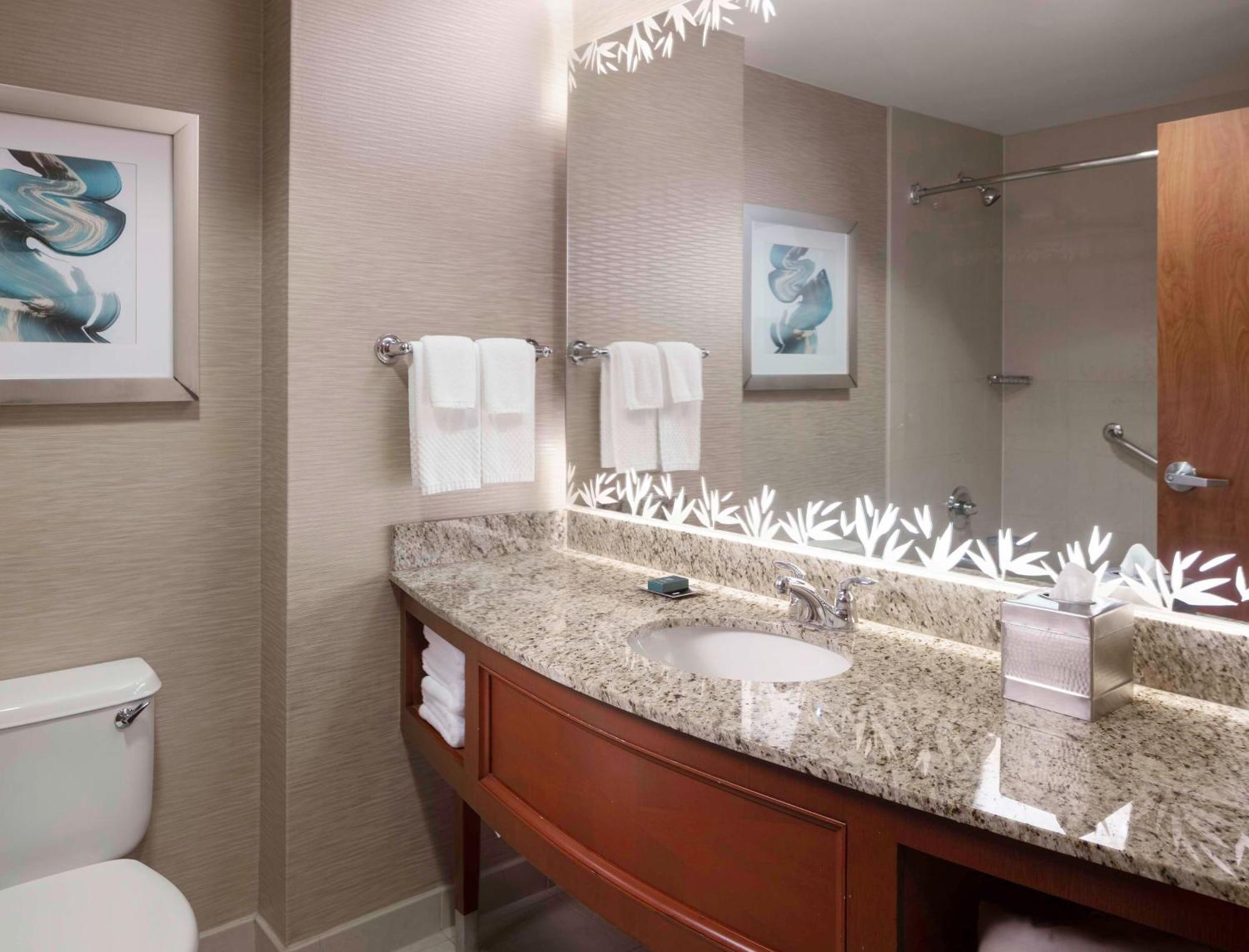 Hilton Carillon Park Hotel St. Petersburg