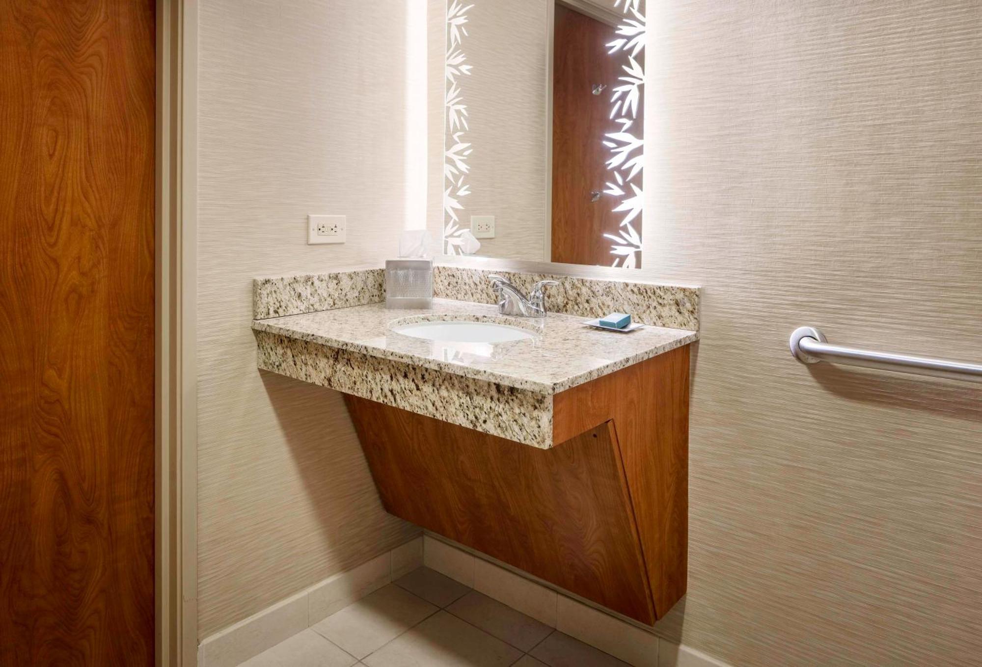 Hotel Hilton Carillon Park St. Petersburg