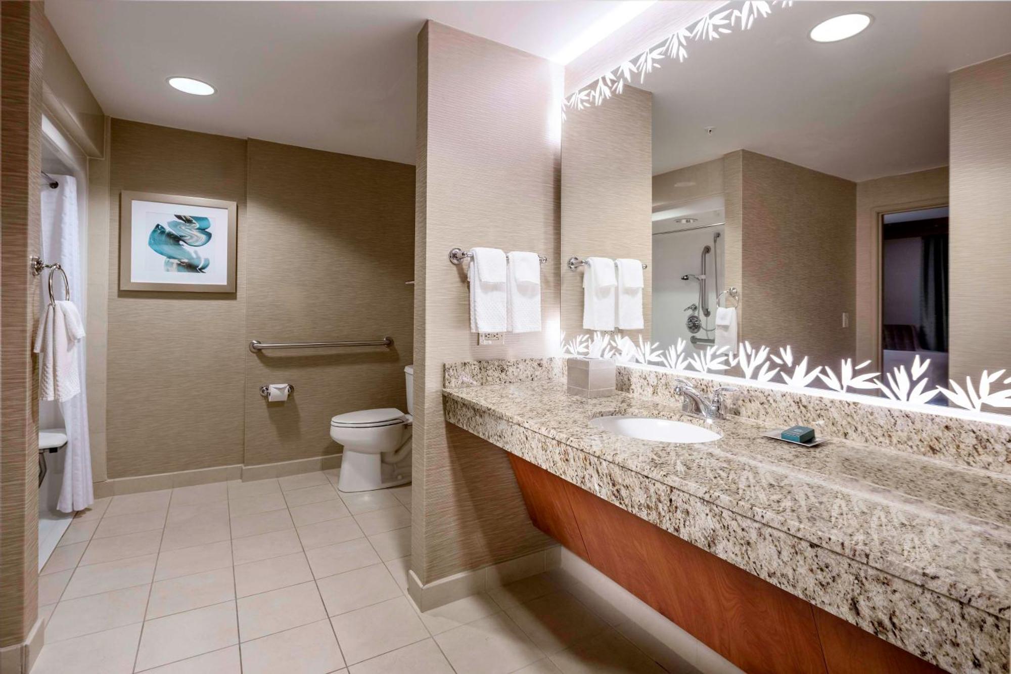 Hotel Hilton Carillon Park 4*