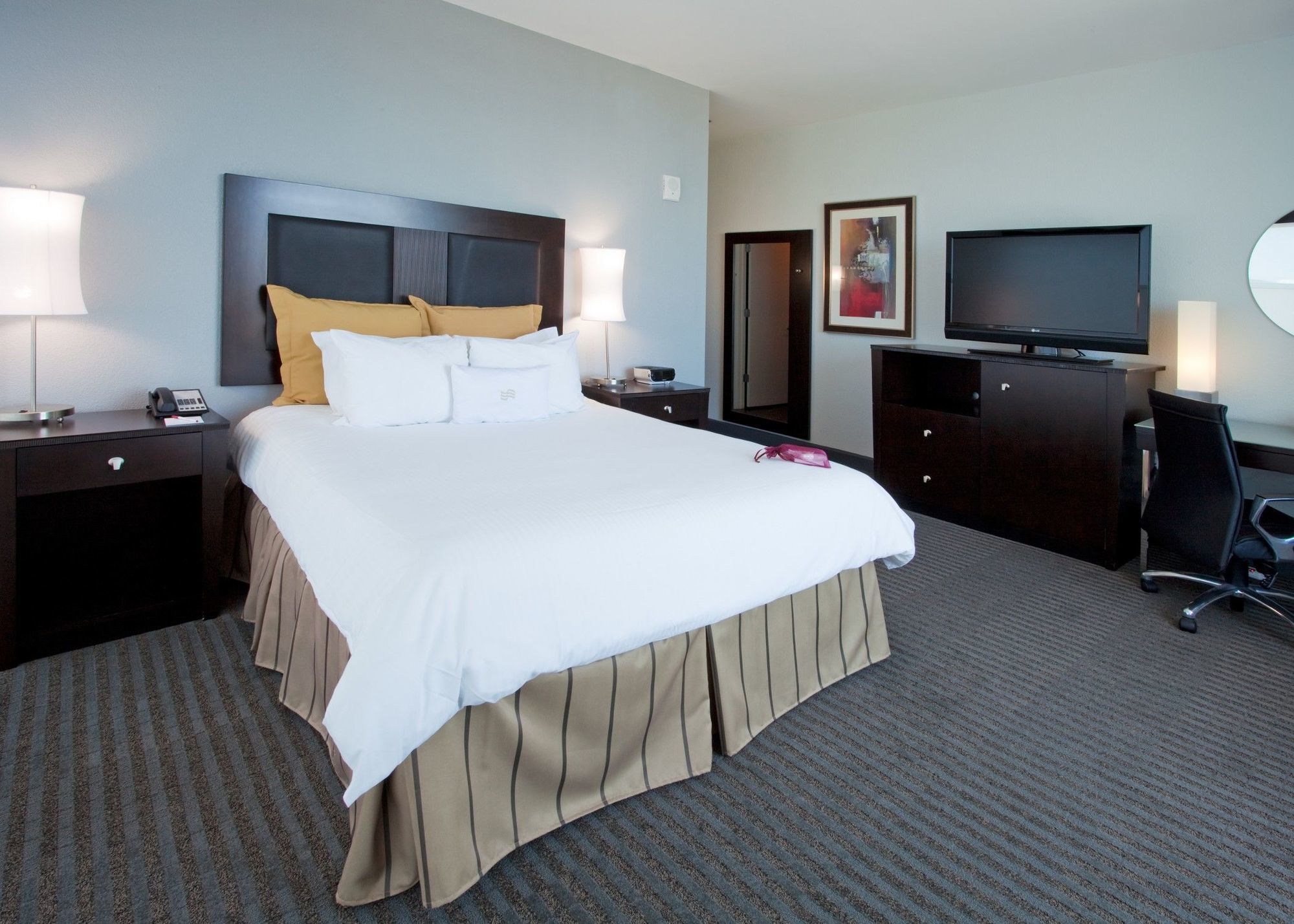 Hotel Alba Tampa, Tapestry Collection By Hilton Tampa