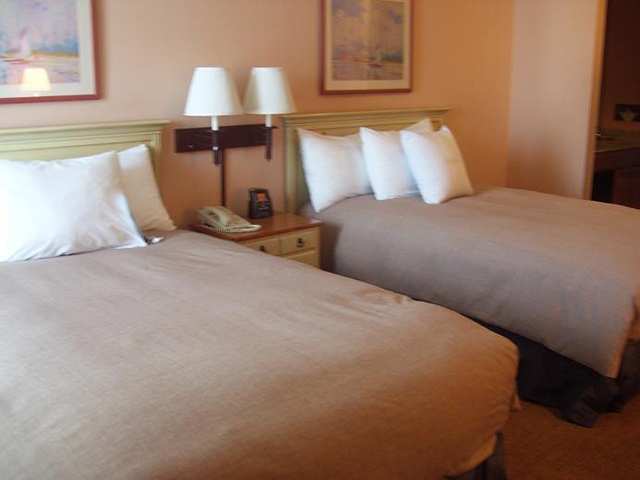 Homewood By Hilton St. Petersburg Hotel