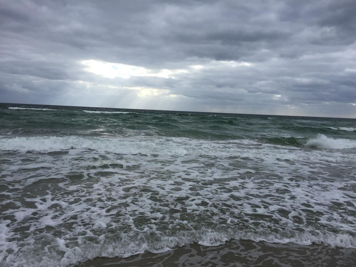 Getaway That's Fit For A Queen Apartment Daytona Beach