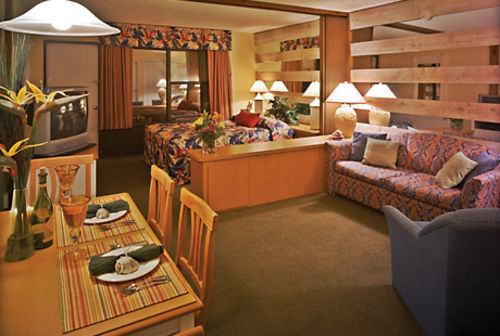 Aparthotel Dolphin Club 3*