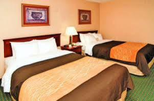 Hotel Homewood By Hilton St. Petersburg Clearwater