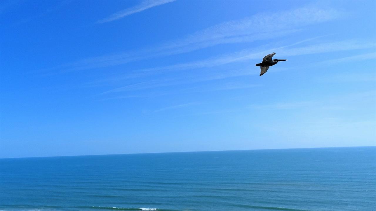 Penthouse Floor 1 Bedroom Direct Oceanfront Wyndham Ocean Walk - Daytona Funland 1908 *