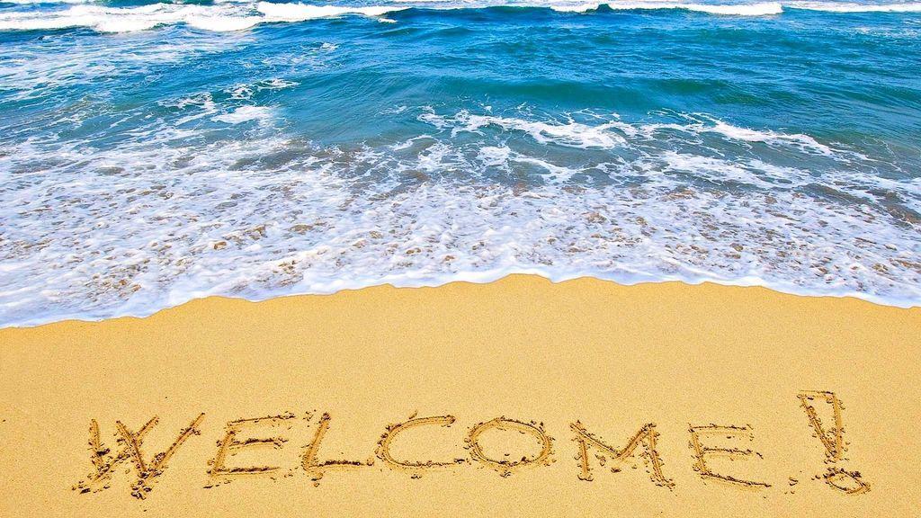 16th Floor 1 Bedroom Direct Oceanfront Wyndham Ocean Walk Daytona 1605