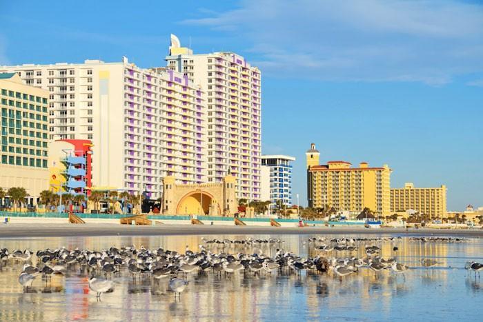 Apartment 16th Floor 1 Bedroom Direct Oceanfront Wyndham Ocean Walk Daytona 1605 *