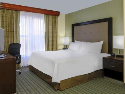 Homewood By Hilton St. Petersburg Hotel Clearwater