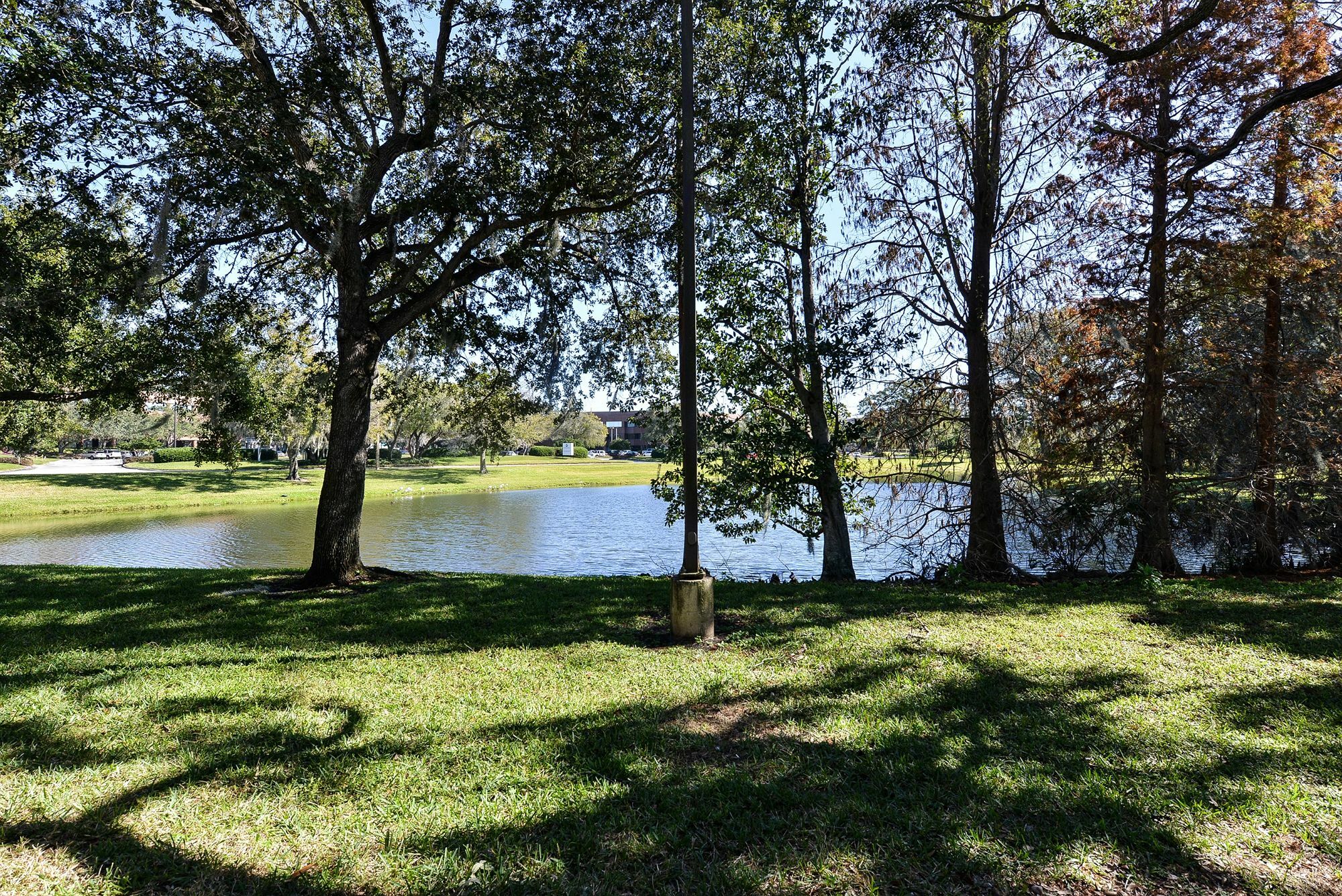 Clarion Pointe Tampa-brandon Near Fairgrounds And Casino