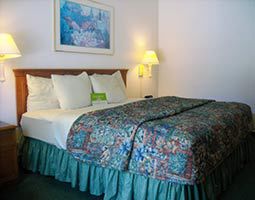 Hotel La Quinta By Wyndham St. Pete-clearwater Airport