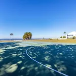 Come Stay Where The Dolphins Play!