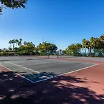 Come Stay Where The Dolphins Play!