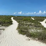Tropical Winds Beachfront Motel And Cottages